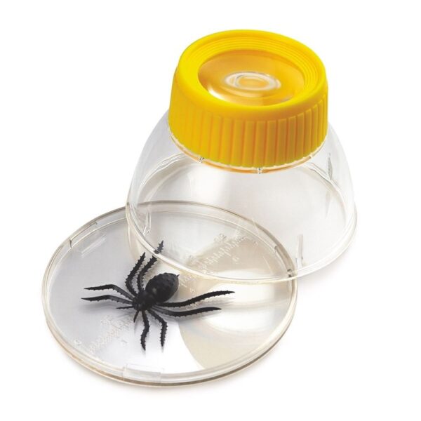 Μεγεθυντικός Φακός