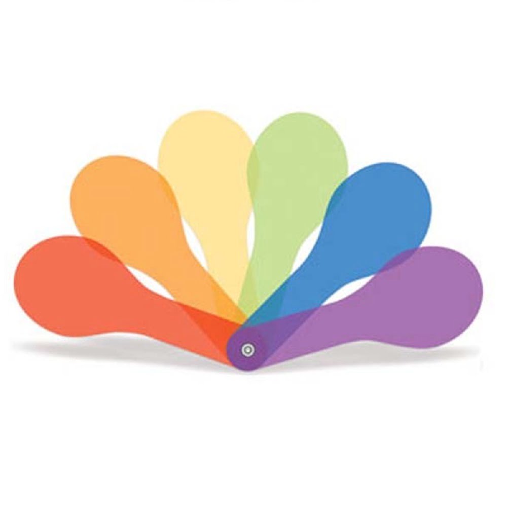 Colour Paddles – Set of 6 - Image 5