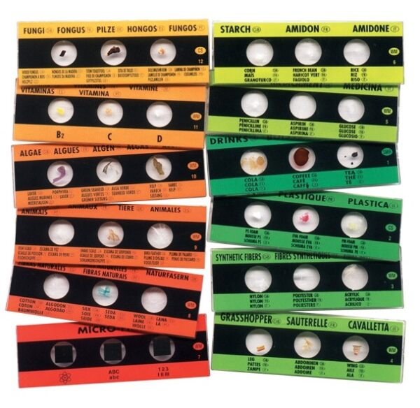 Μικροσκοπικά Παρασκευάσματα (Σετ 12 slides)