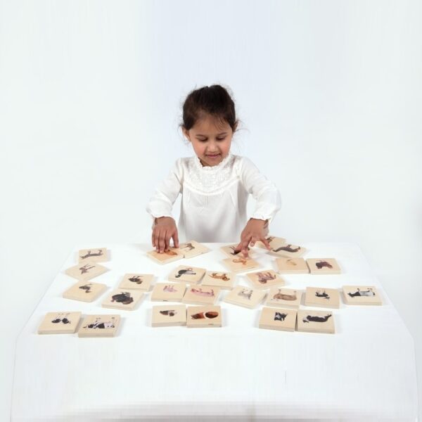 Ταιριάζω τα Κατοικίδια Ζώα