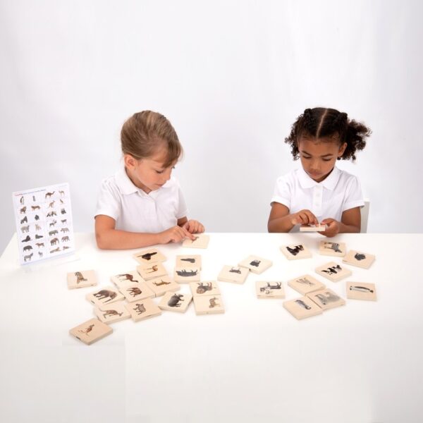 Ταιριάζω τα Άγρια Ζώα