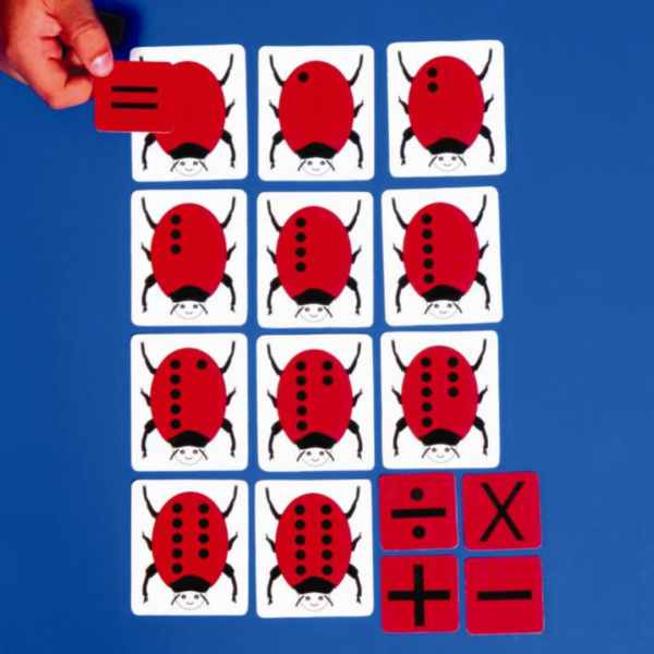 Magnetic Counting Ladybirds