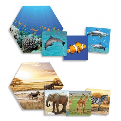 Where do animals live? - Image 2