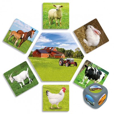 Που ζούνε τα ζωάκια;