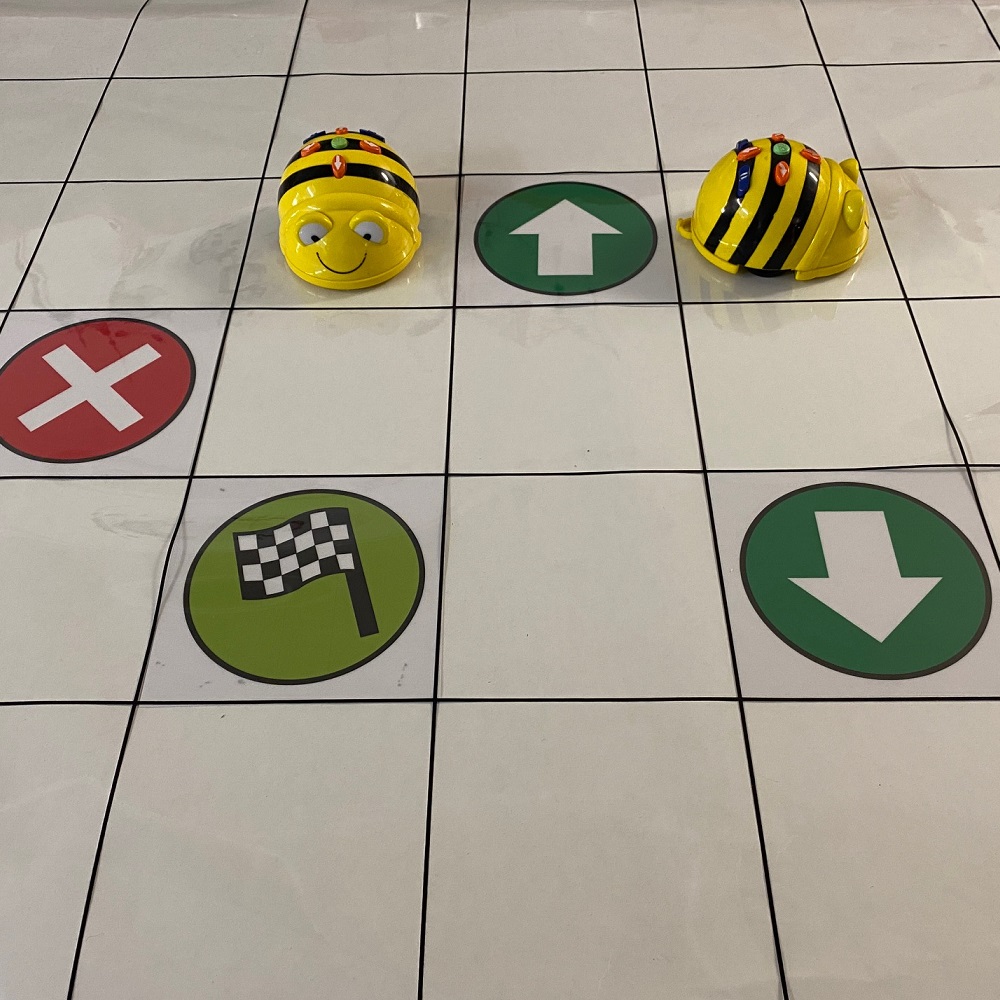BeeBot – Πίστα Διαφάνεια 90×105 - Image 2
