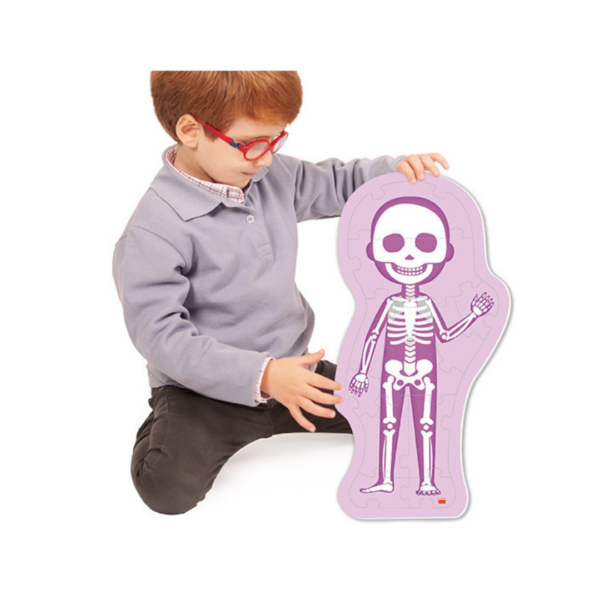 Ανθρώπινο Σώμα: Πως είμαι;