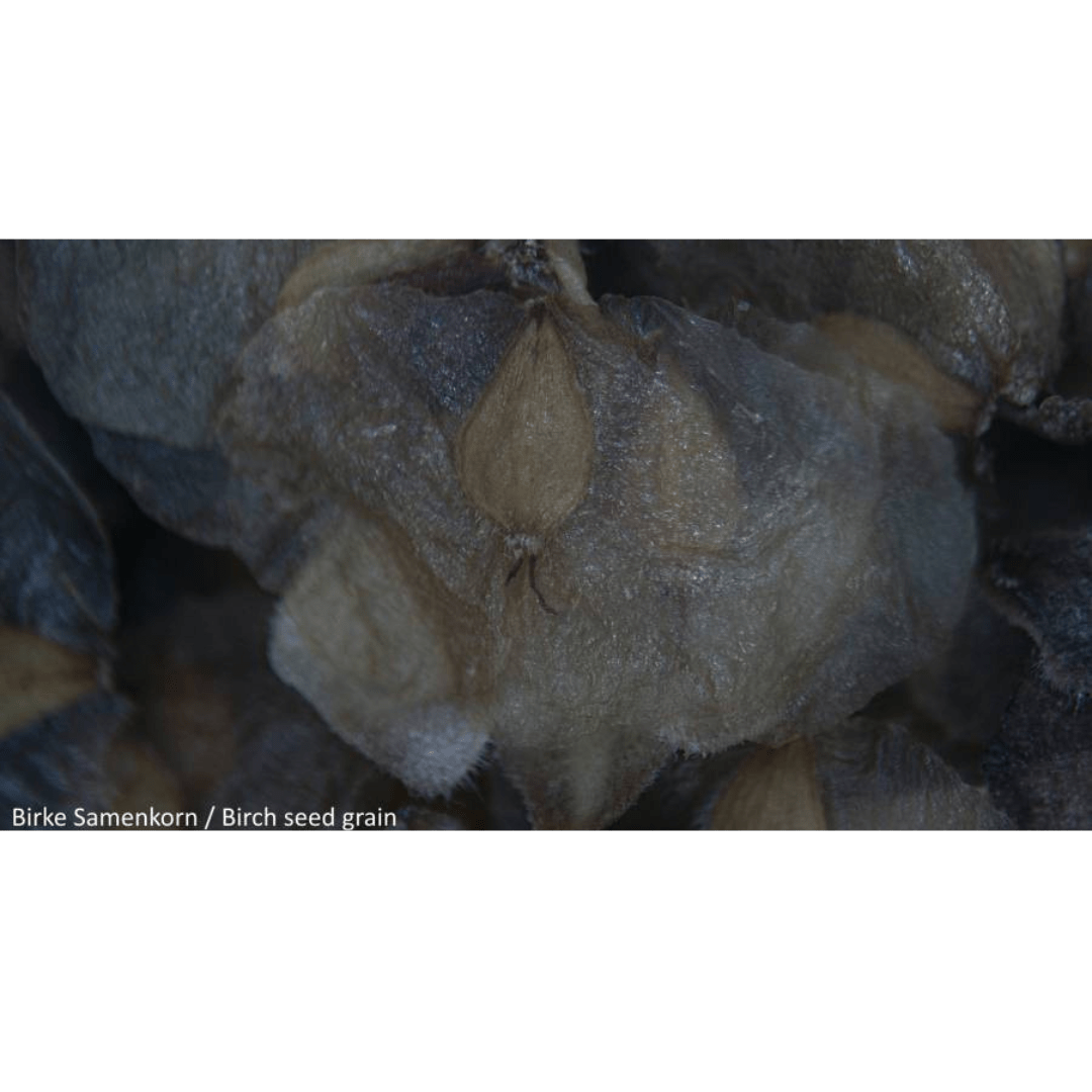 National Geographic Στερεοσκόπιο 20X - Image 4