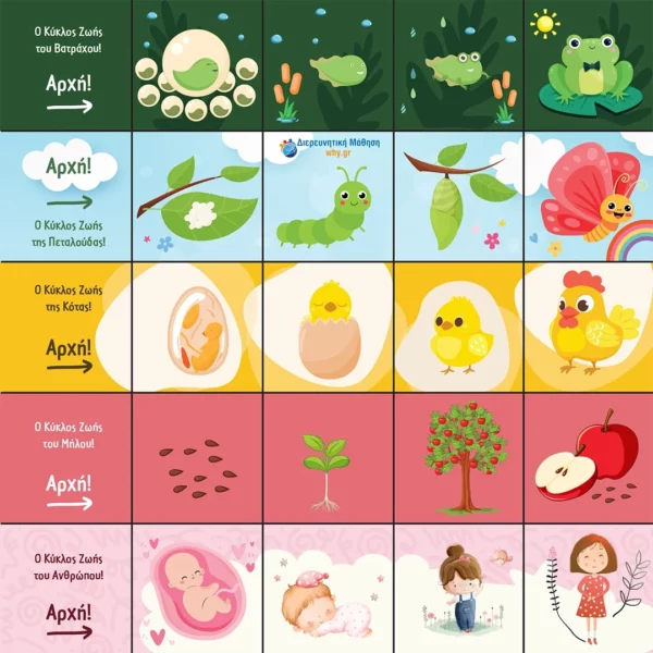 BeeBot Κύκλος Ζωής