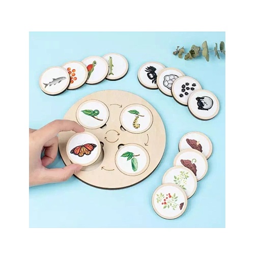 Κύκλος Ζωής Φυτών και Ζώων