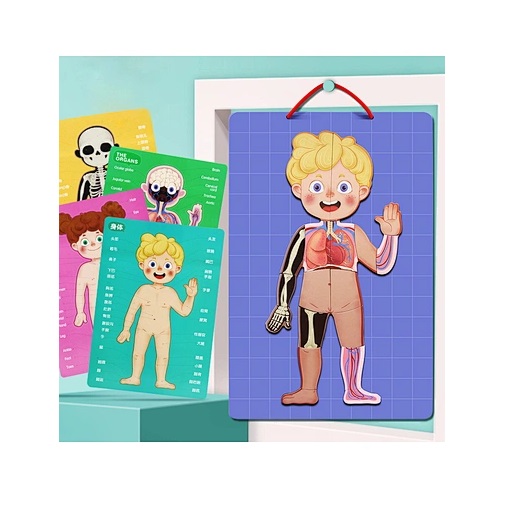 Μαγνητικό Πάζλ Μαθαίνω το Σώμα μου