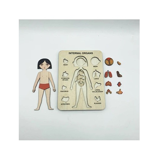 Ξύλινο Πάζλ Μαθαίνω το Σώμα μου - Image 3