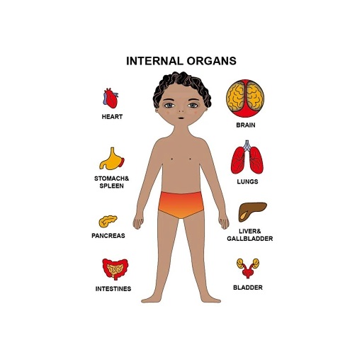 Ξύλινο Πάζλ Μαθαίνω το Σώμα μου - Image 4