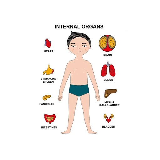 Ξύλινο Πάζλ Μαθαίνω το Σώμα μου - Image 5