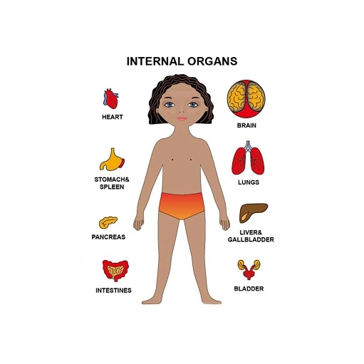 Ξύλινο Πάζλ Μαθαίνω το Σώμα μου - Image 9