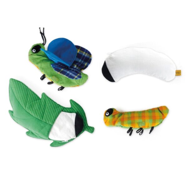 Ο Κύκλος Ζωής της Πεταλούδας (Πάνινα)