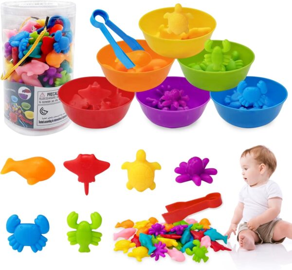 Sorting & Counting Marine Life