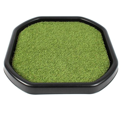 Χλοοτάπητας για Mini Tuff Tray