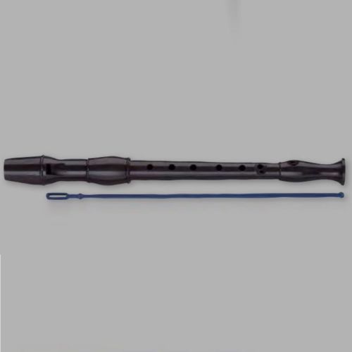 C Recorder
